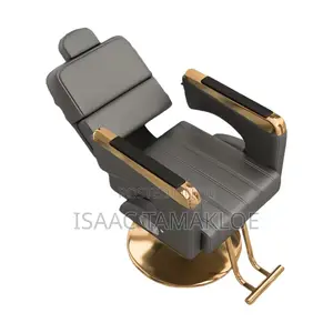 Professional Salon and Barber Chair