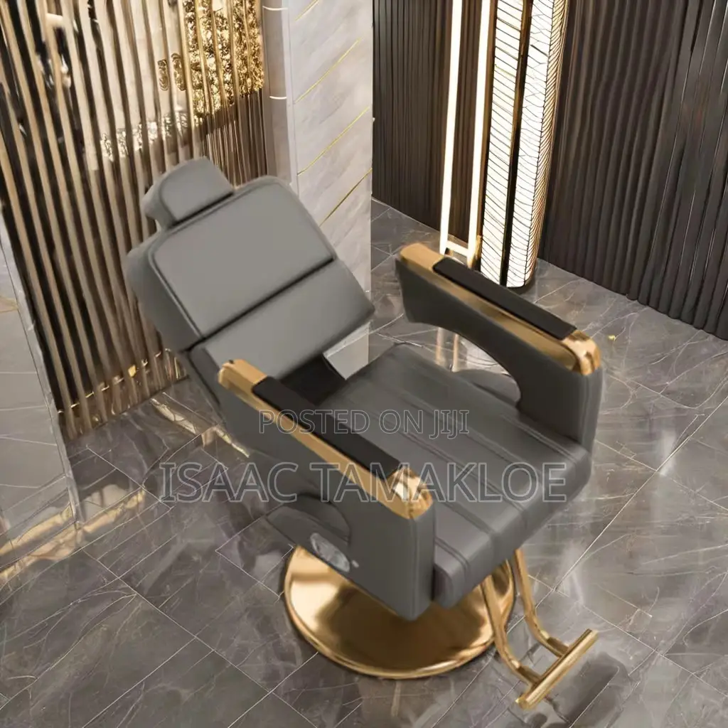 Professional Salon and Barber Chair