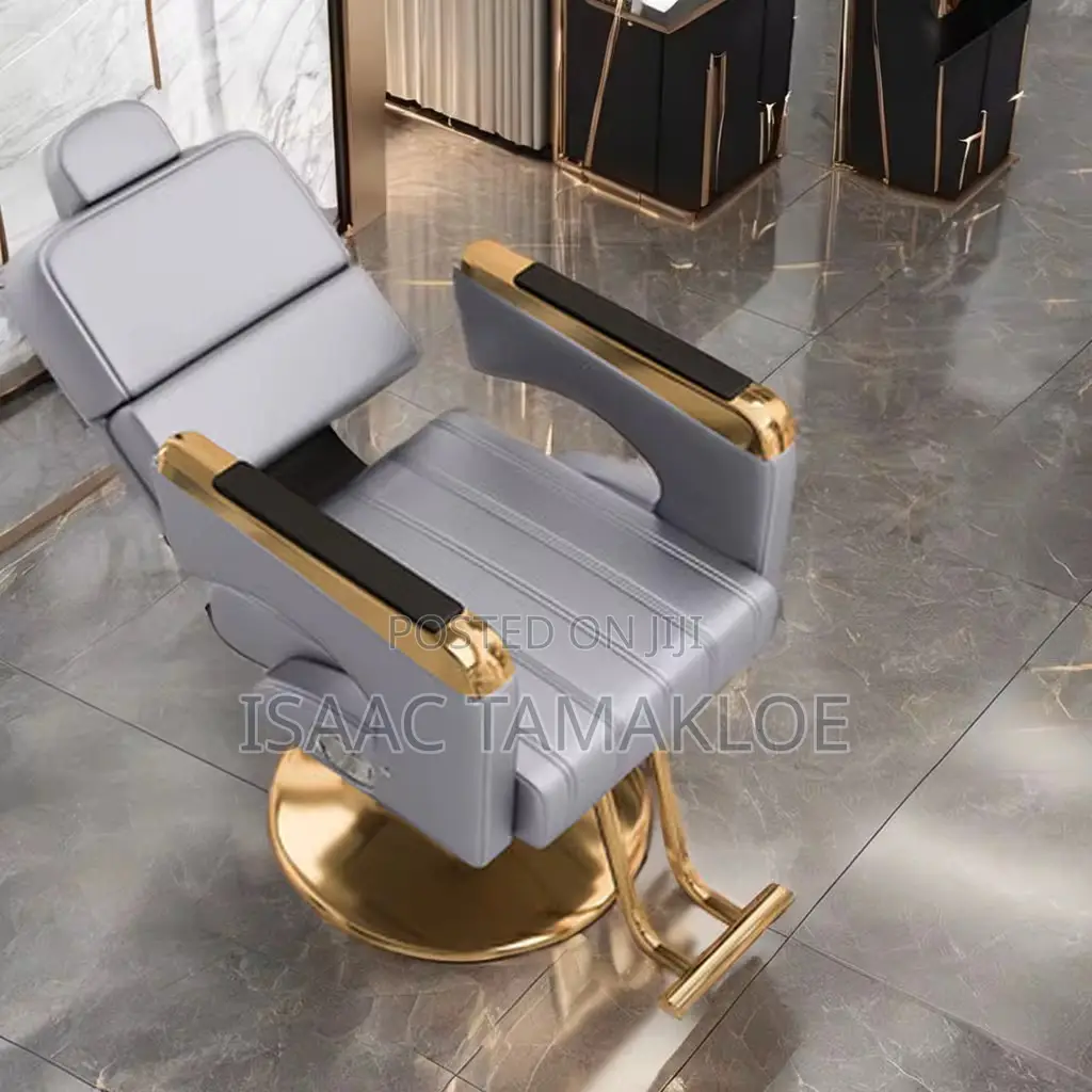 Professional Salon and Barber Chair