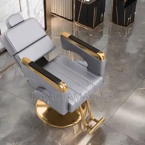 Professional Salon and Barber Chair