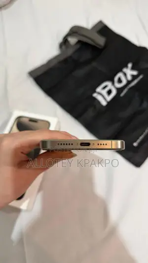 Apple iPhone 15 Pro Max 256 GB Silver