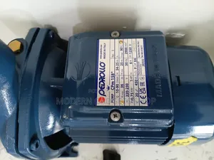 High-Pressure Pedrollo 1hp Water Pump