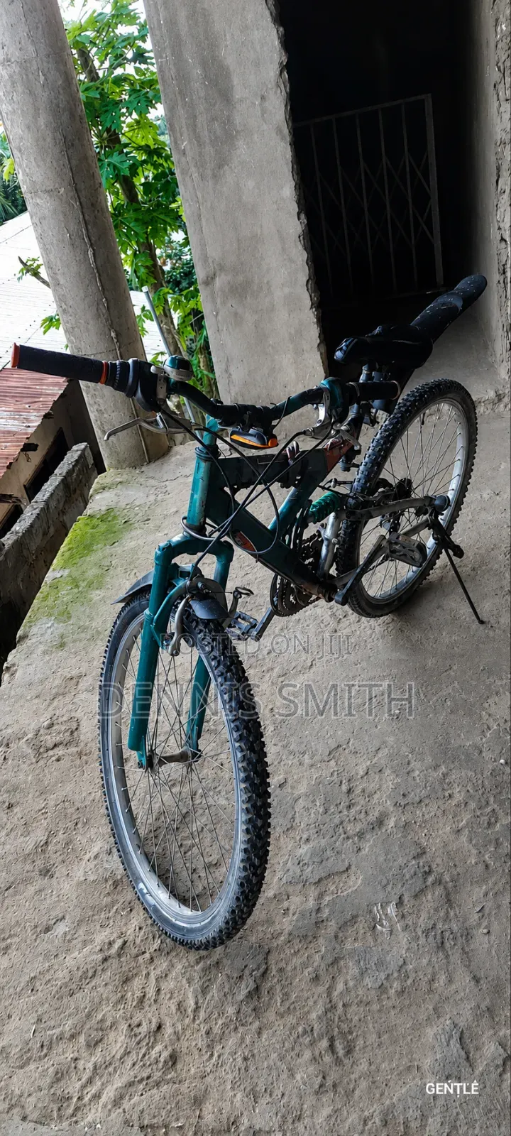 Mountain Bike