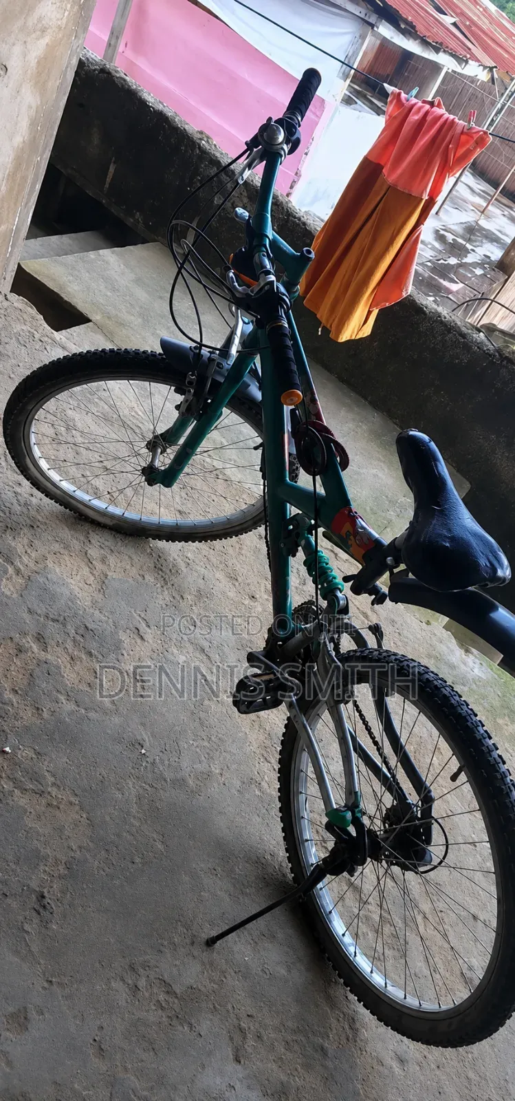 Mountain Bike