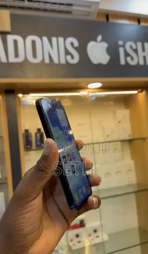Apple iPhone 12 Pro 128 GB Gray