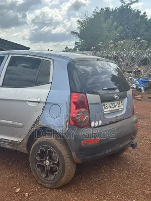 Car With No Fault Only Spraying Needed