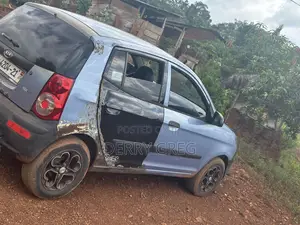 Car With No Fault Only Spraying Needed