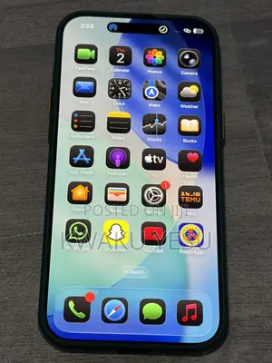 Apple iPhone 16 Pro Max 256 GB Gray