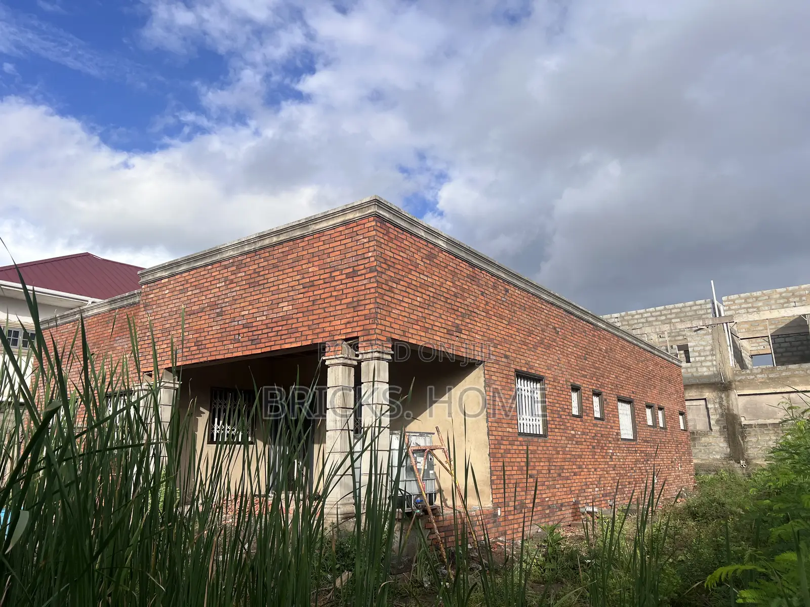 Bricks Tiles for House Cladding
