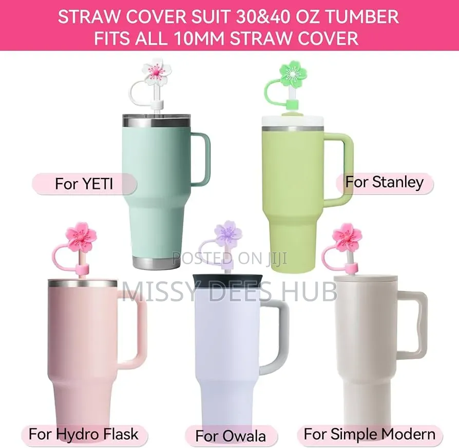 Colorful and Fancy Straw Cover