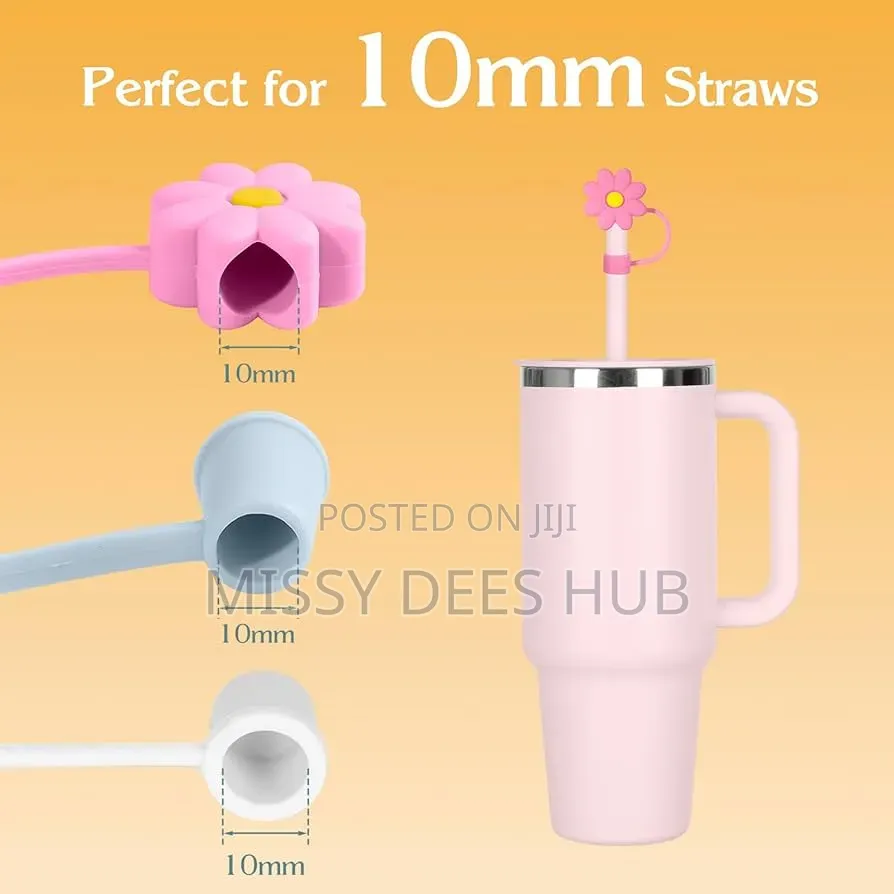 Colorful and Fancy Straw Cover