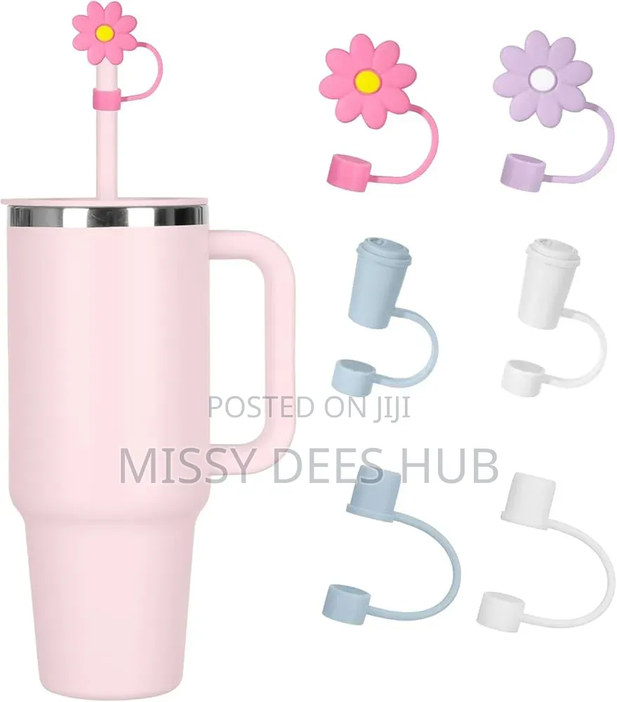 Colorful and Fancy Straw Cover