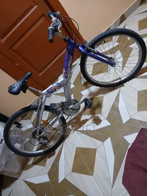 Home Used Bicycle Very Nice And Strong