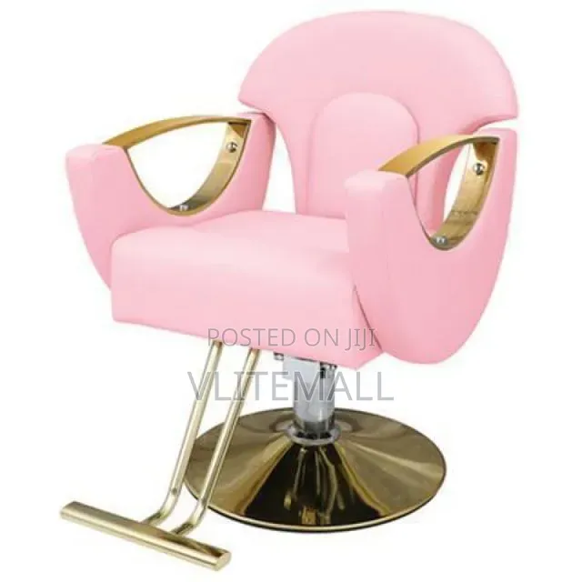Luxurious Saloon Chairs