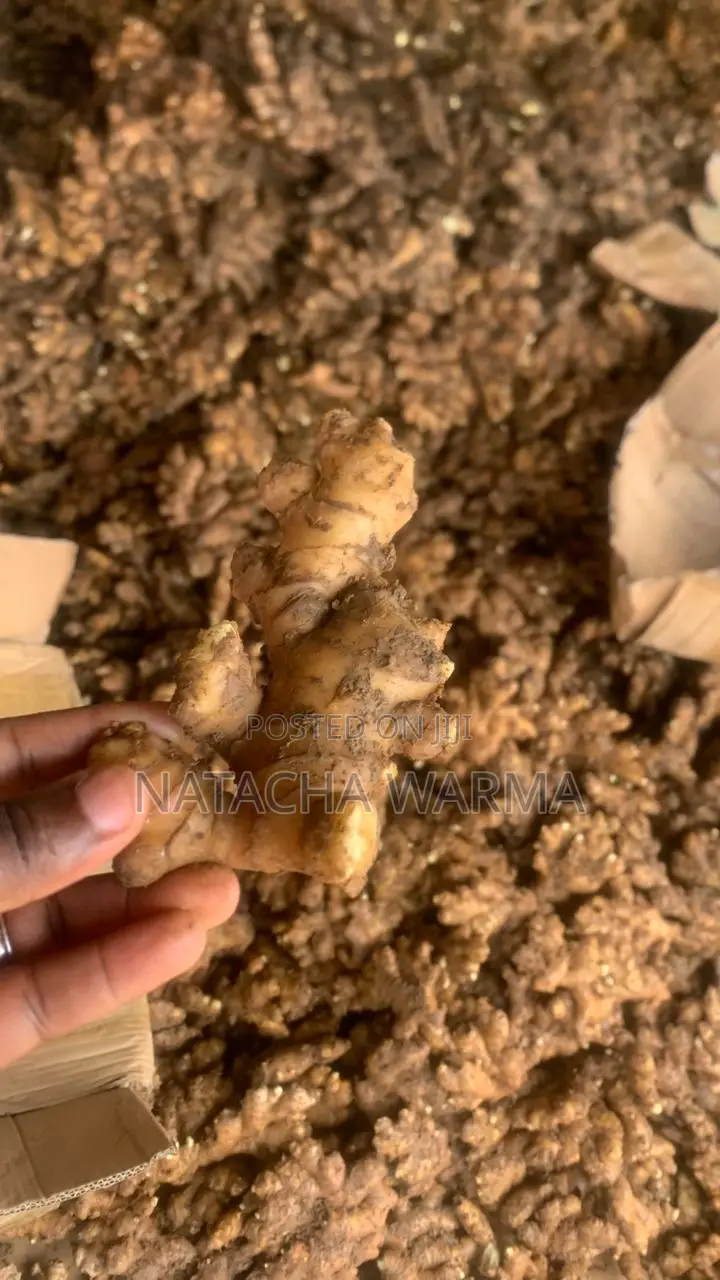Fresh Ginger
