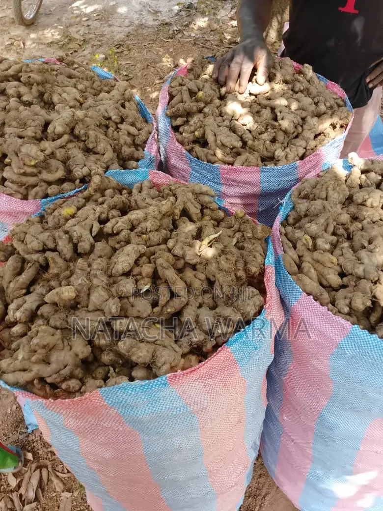 Fresh Ginger