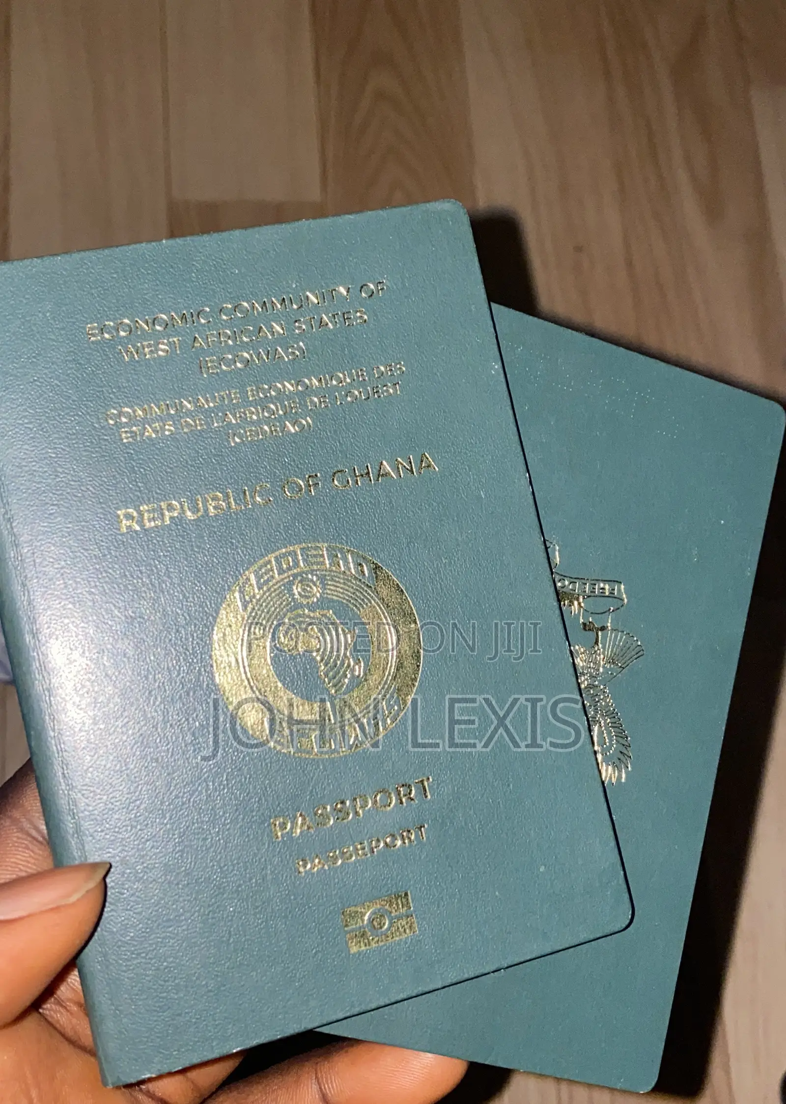 Georgia Tourist Visa Before Payment