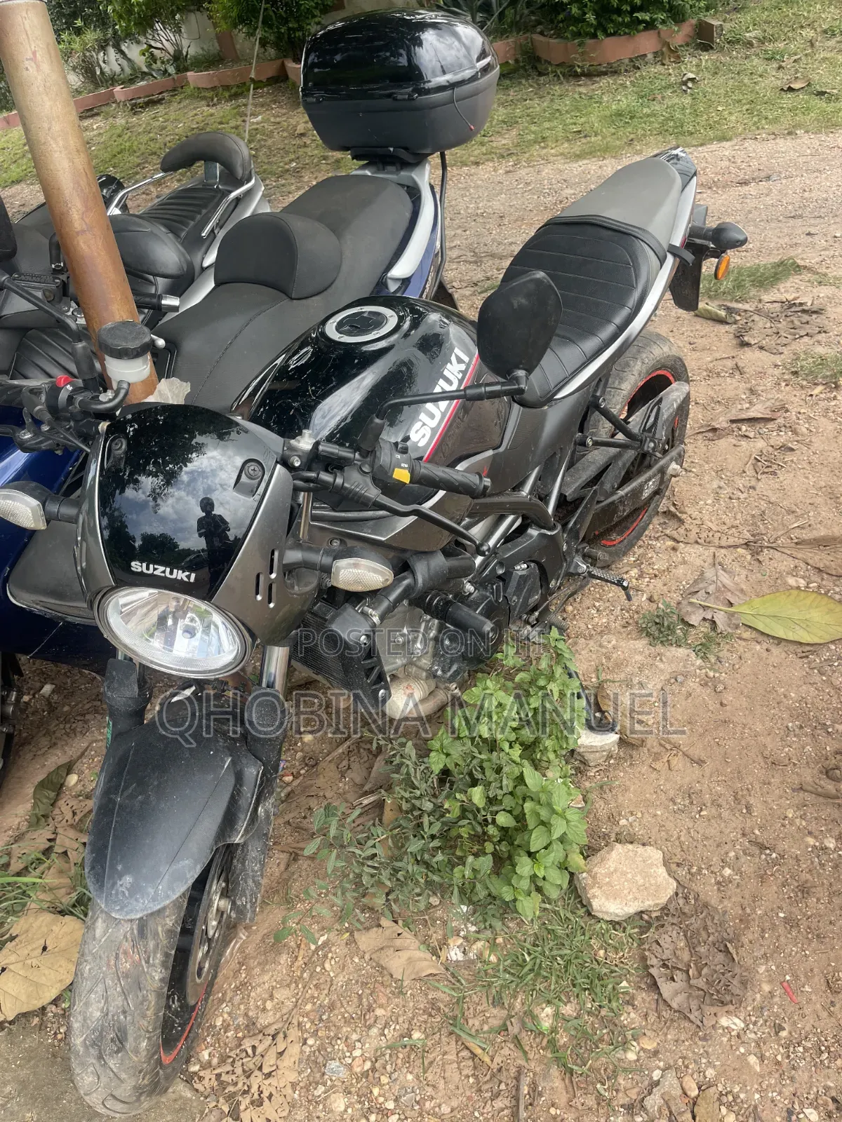 Suzuki SFV650 2020 Gray