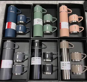 3 in 1 Vacuum Flasks