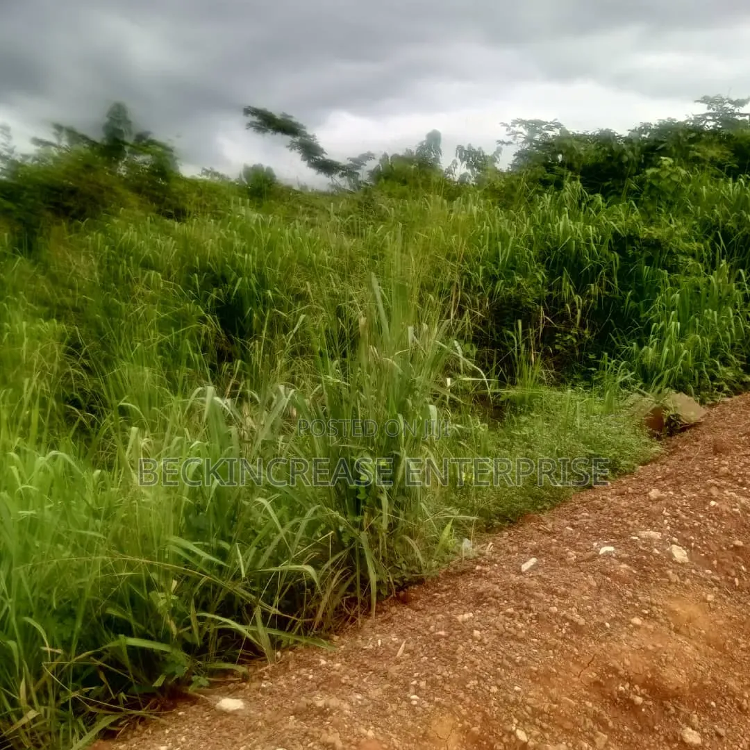 Land for Sale at Kumasi Dominase