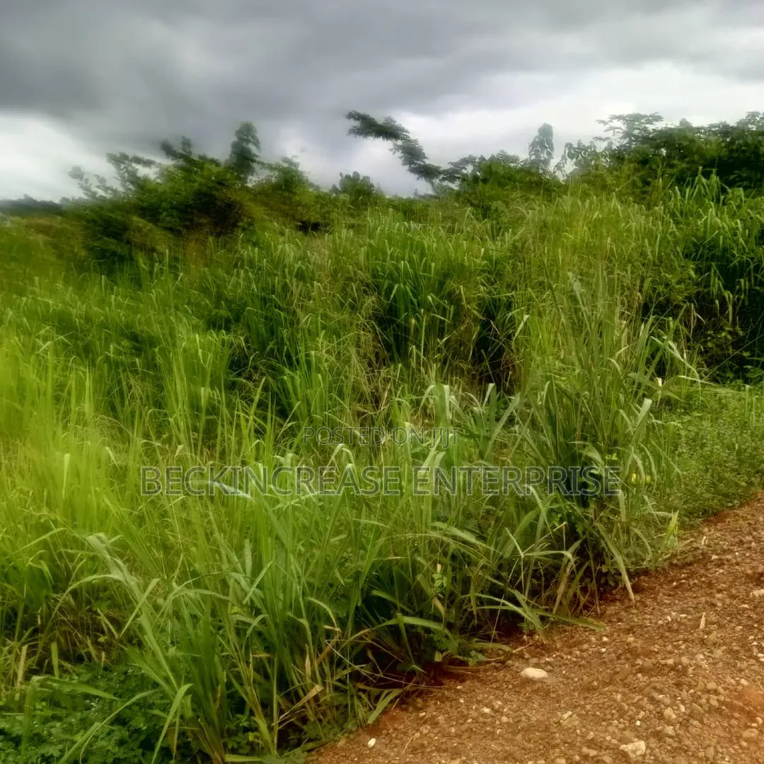 Land for Sale at Kumasi Dominase