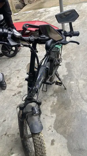 Electric Bike