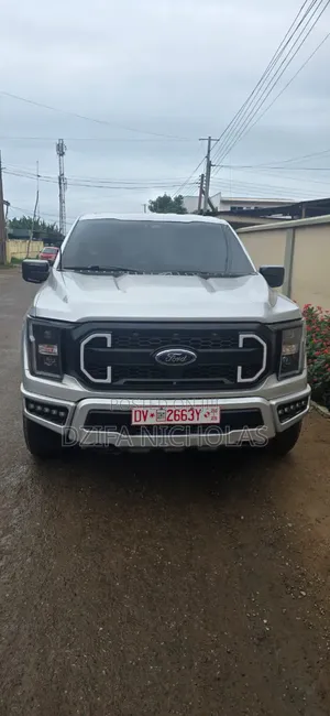 Ford F-150 2022 Silver