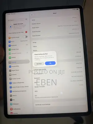 Apple iPad Pro 12.9 (2020) 256 GB Gray