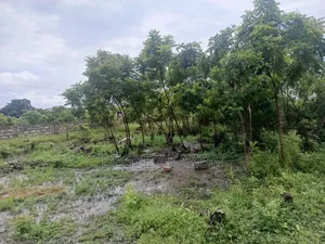 5 Plots of Roadside Land for Sale at Adenta