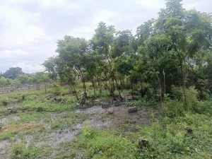5 Plots of Roadside Land for Sale at Adenta