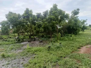 5 Plots of Roadside Land for Sale at Adenta