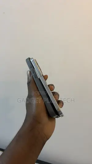 Apple iPhone 15 Pro Max 256 GB Silver