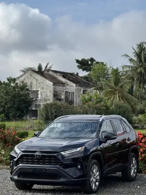 Toyota RAV4 XLE Premium AWD 2024 Black