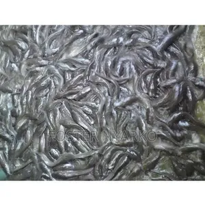 Cartfish Jum