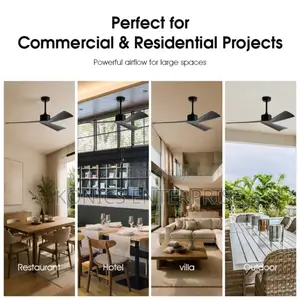Ceiling Fans