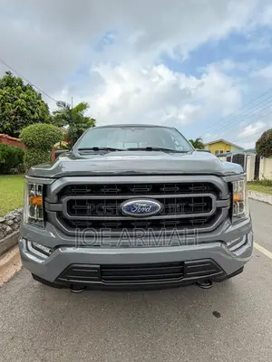 Ford F-150 XLT 2021 Gray