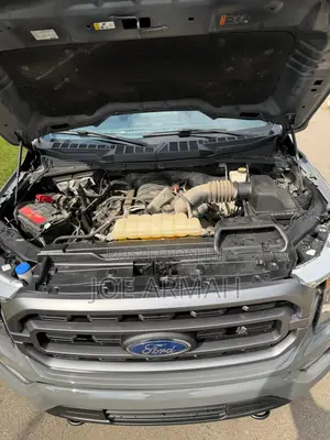 Ford F-150 XLT 2021 Gray