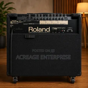 Roland Kc550 Combo