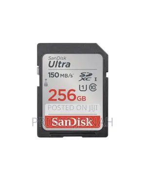 Rent/Hire Sandisk Sd Card 256gb 150mb/S Class 10 Accra Ghana