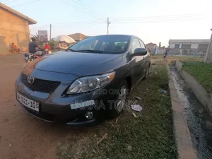 Toyota Corolla LE 4dr Sedan (1.8L 4cyl 4A) 2010 Gray