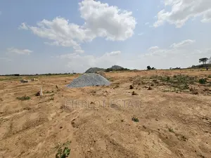 Litigation-Free Half Plot – Tsopoli Township