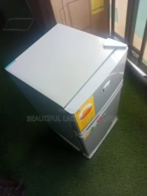 Westpool 2-Door Refrigerator – Modern Grey Design