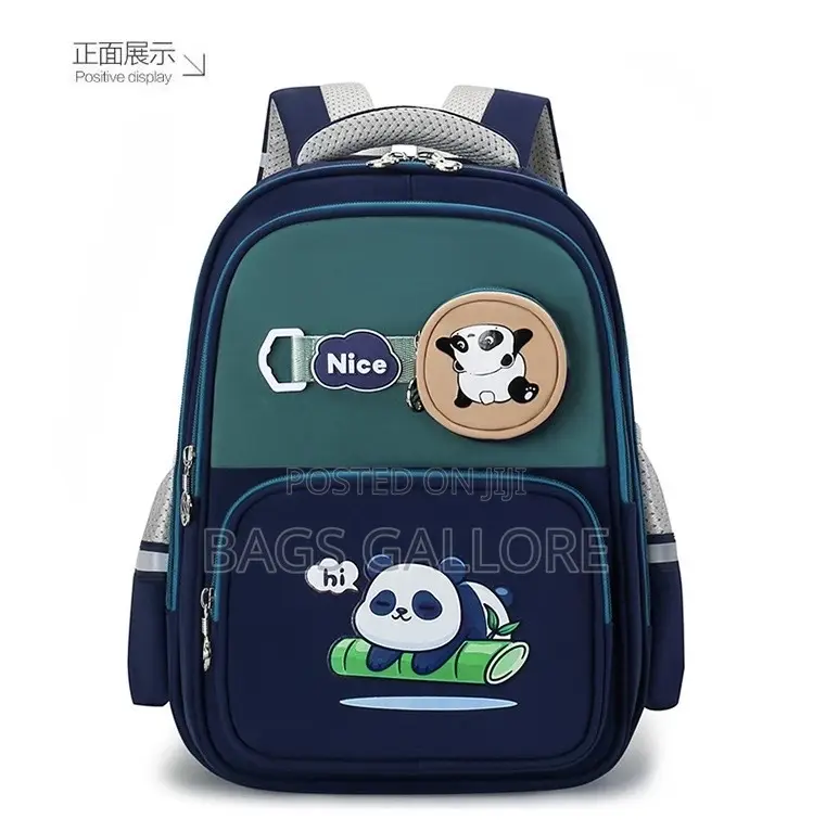 Kg School Level Nice Bag