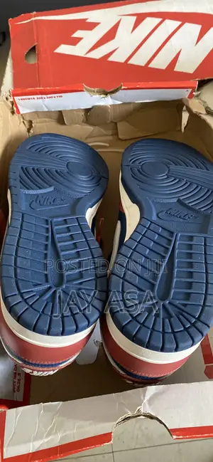 Nike Dunks