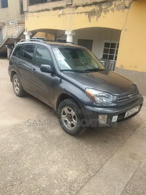 Toyota RAV4 2002 Gray