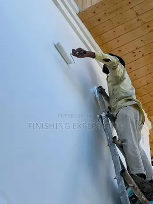 Professional Painter 