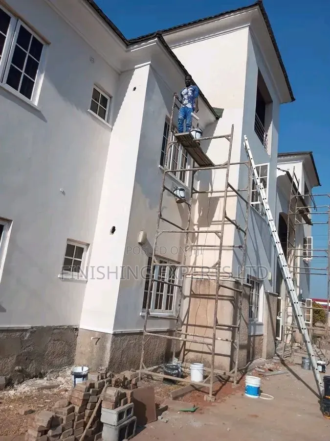 Professional Painter 