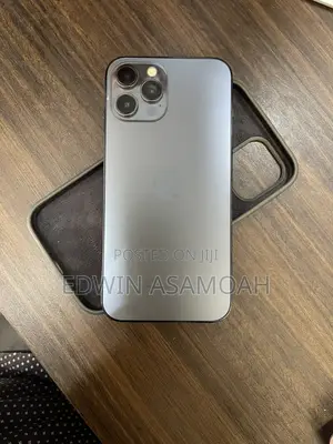 Apple iPhone 12 Pro Max 256 GB Gray