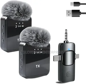 Mini Microphone