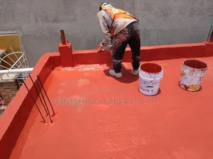 Roof Leakage Repairs